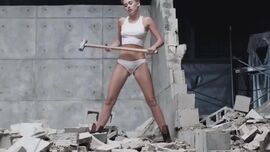 Miley cyrus crotch image