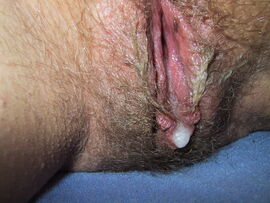 Amateur hairy pussy pictures